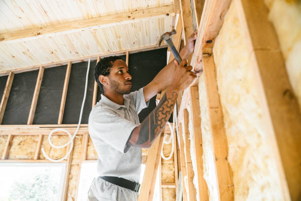 Best Professional Insulation Contractor  in Goshen, IN